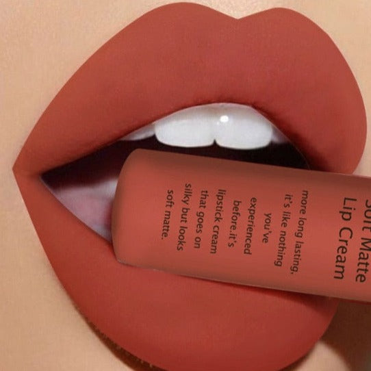 Professional Beauty Lip Gloss | Liquid Lipstick | Wedding Matte Lipgloss